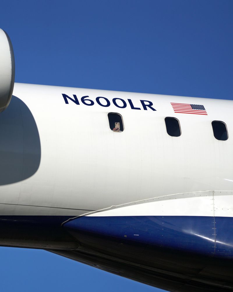 © David Rothenberg - Landing Lights Portrait (Southwest Florida Intl to LaGuardia)
