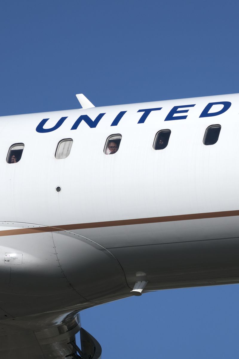 © David Rothenberg - Landing Lights Portrait (United)