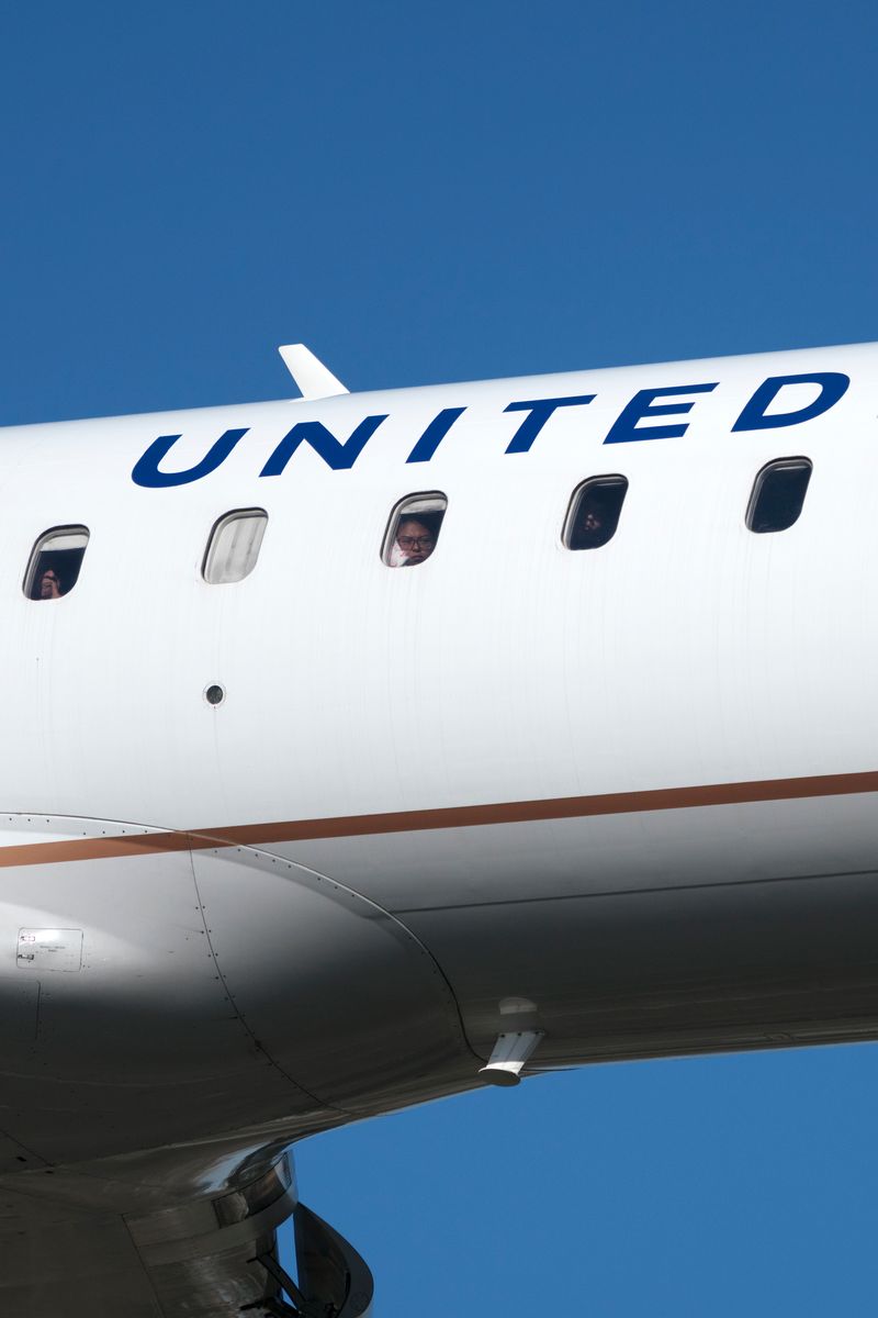 © David Rothenberg - Landing Lights Portrait (United)