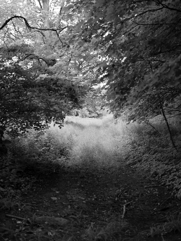 © info@maudearsenault.com Arsenault - Halo, 2022