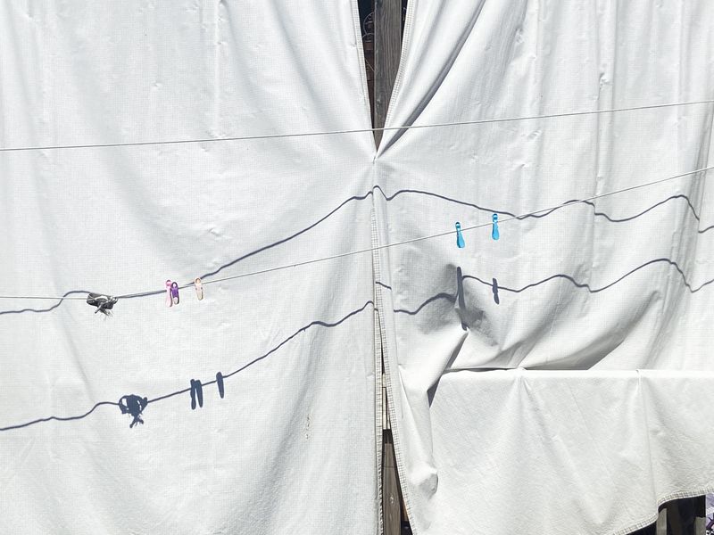 © info@maudearsenault.com Arsenault - Image from the Resurfacing, 2023 photography project