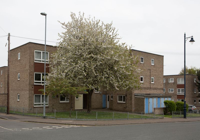 © vicky burling - Image from the New Trend photography project