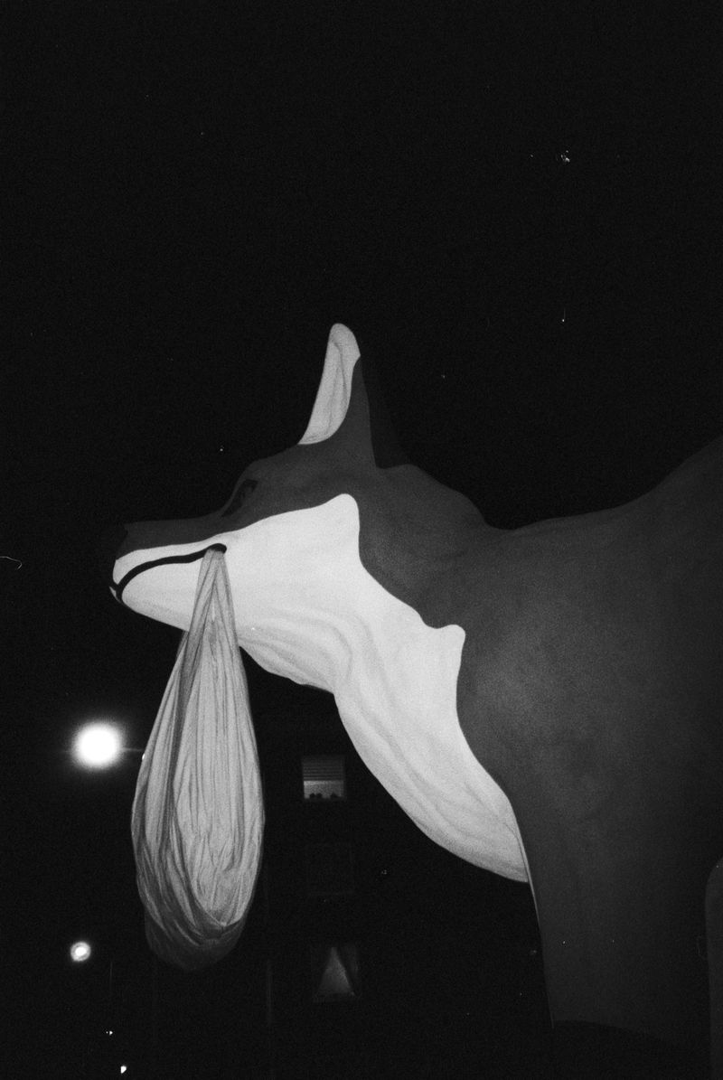 © odysseas tsompanoglou - Image from the Drowning in flames photography project