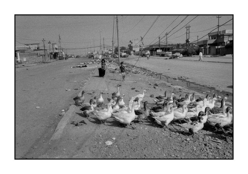 © savinocarbone - Mosul.