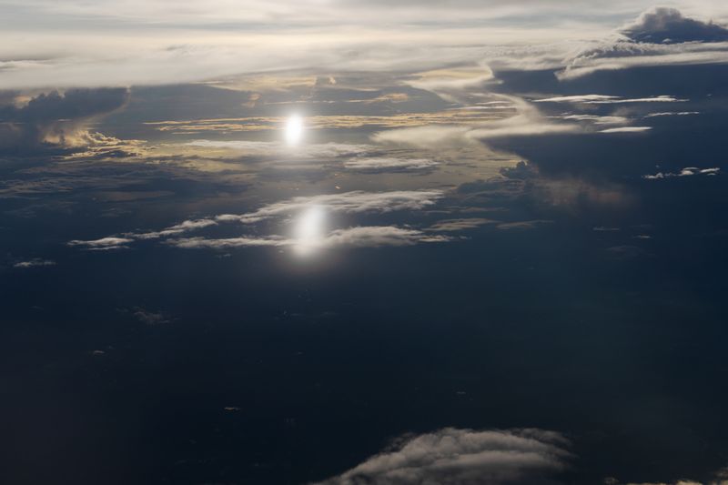 © MOonsi - Image from the Flowers, A Bird and A Fish photography project