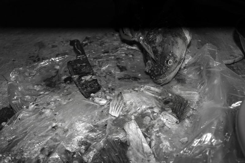 © MOonsi - Image from the Flowers, A Bird and A Fish photography project