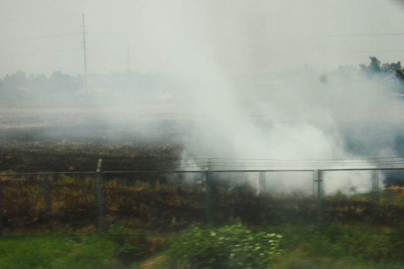 © MOonsi - Image from the Flowers, A Bird and A Fish photography project