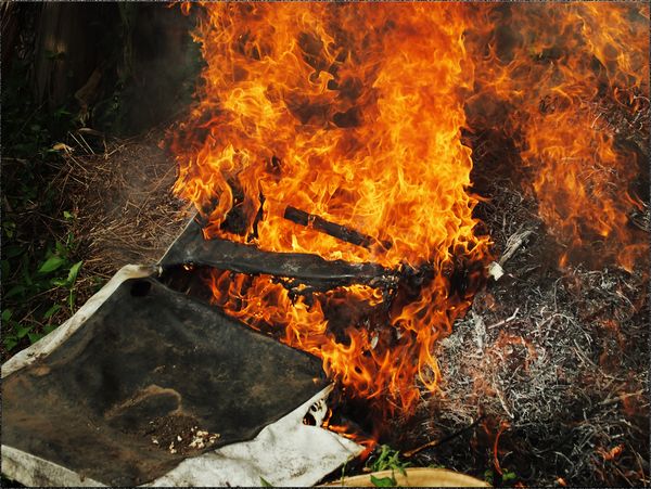 © MOonsi - Image from the Flowers, A Bird and A Fish photography project