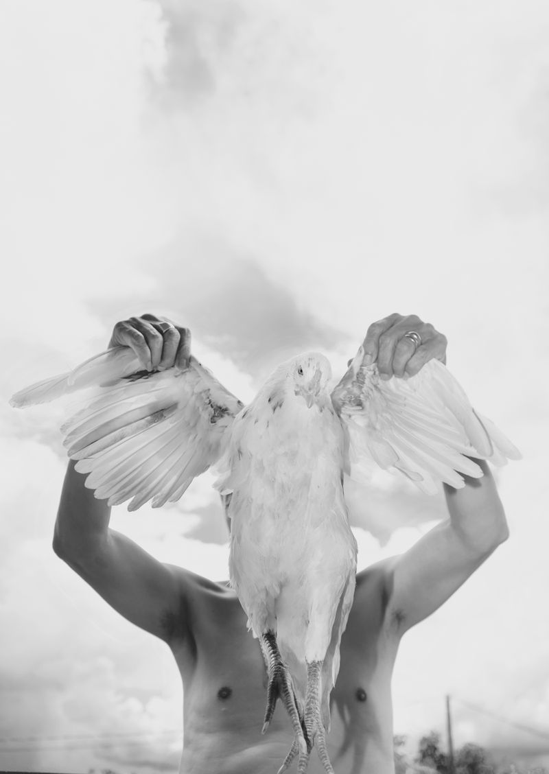 © MOonsi - Image from the Flowers, A Bird and A Fish photography project