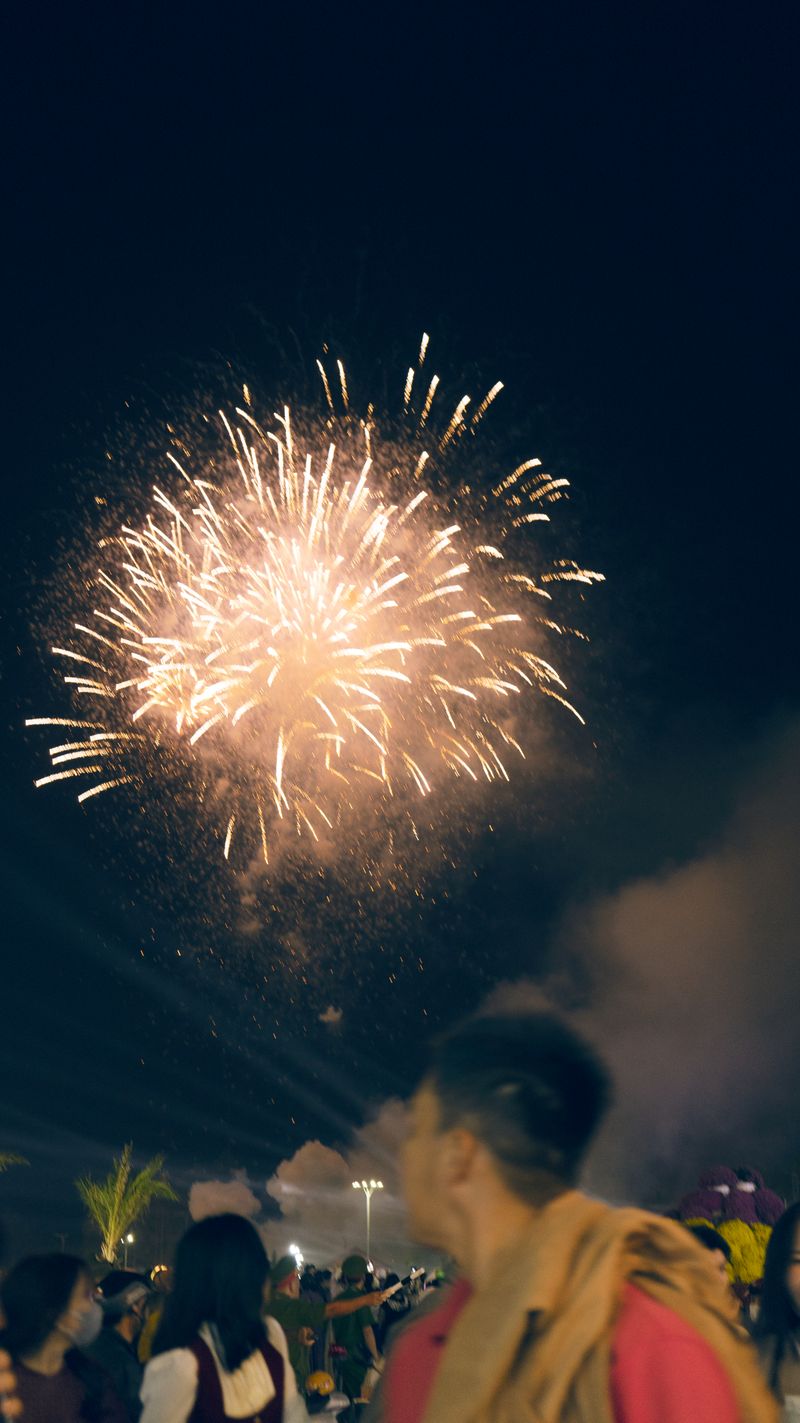 © MOonsi - Image from the Flowers, A Bird and A Fish photography project