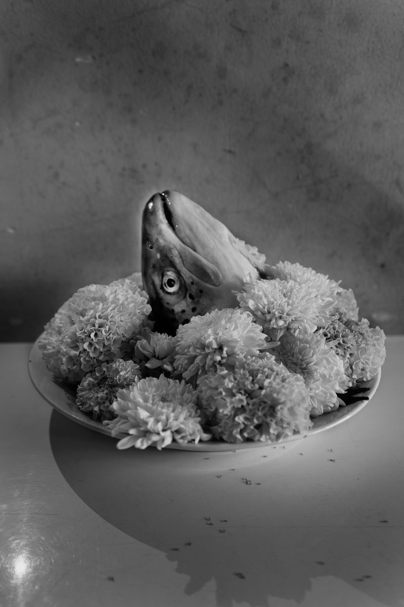 © MOonsi - A dish, or maybe a grave?