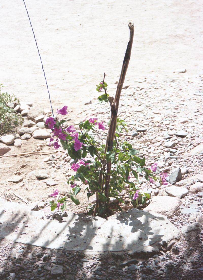 © Eliot Nasrallah - Image from the Try Again Later photography project