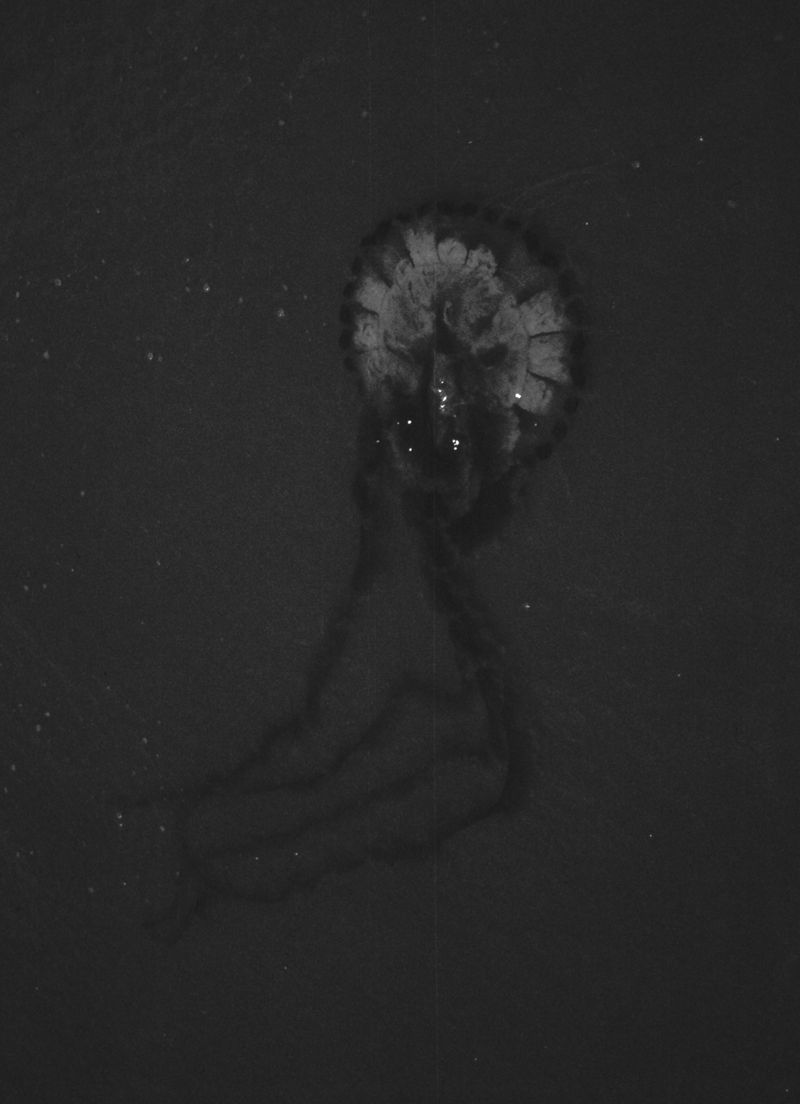 © Eliot Nasrallah - Image from the Les yeux fermés (Eyes Closed) photography project