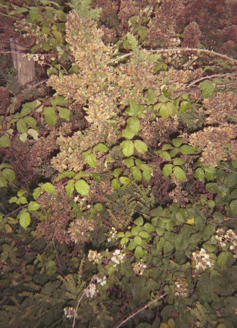 © Eliot Nasrallah - Image from the Les yeux fermés (Eyes Closed) photography project