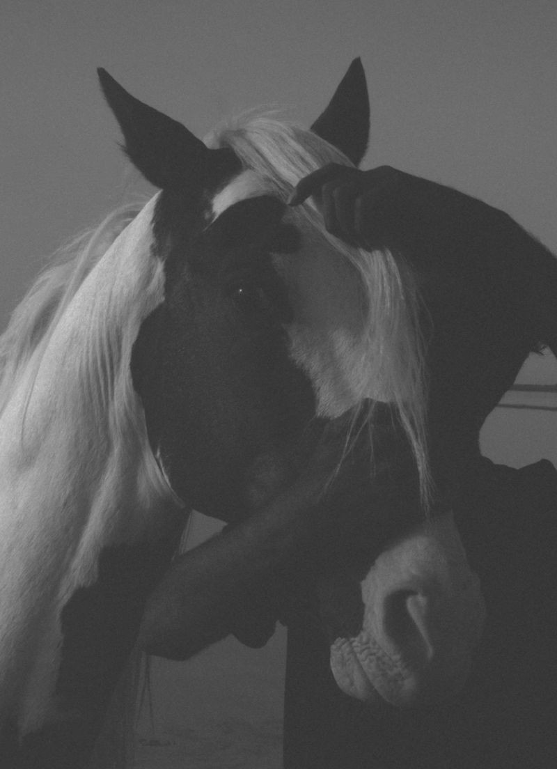 © Eliot Nasrallah - Image from the Try Again Later photography project