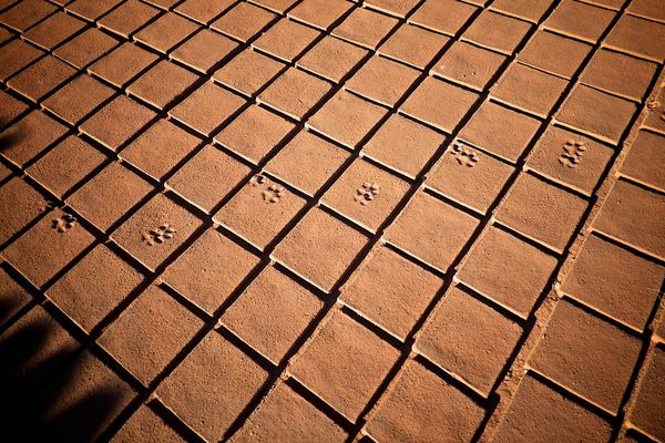 © Cesar Rodriguez - Image from the Brick photography project