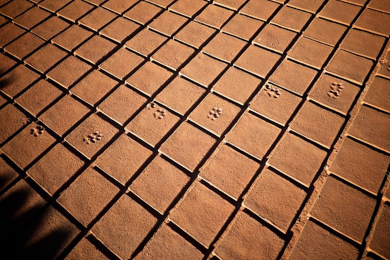 © Cesar Rodriguez - Image from the Brick photography project