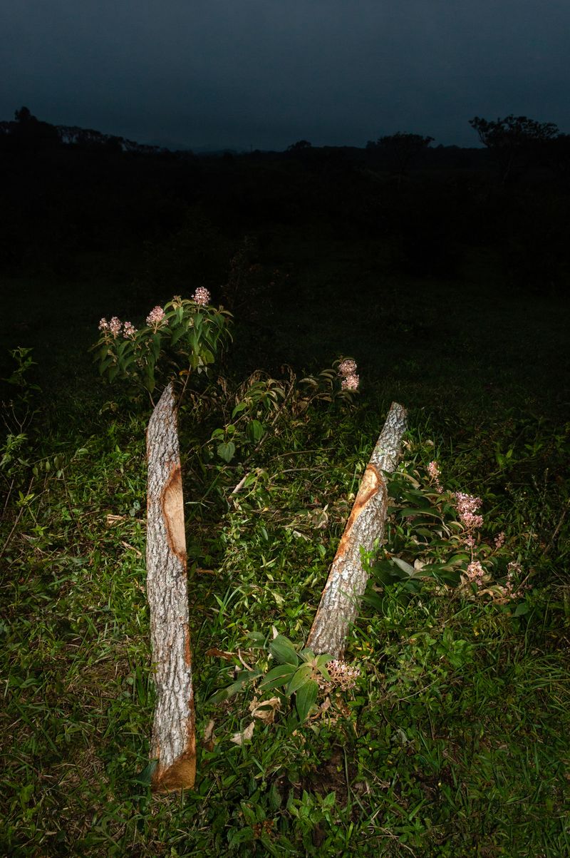 © Arturo Velázquez Hernández - Image from the On the verb "to disappear" photography project