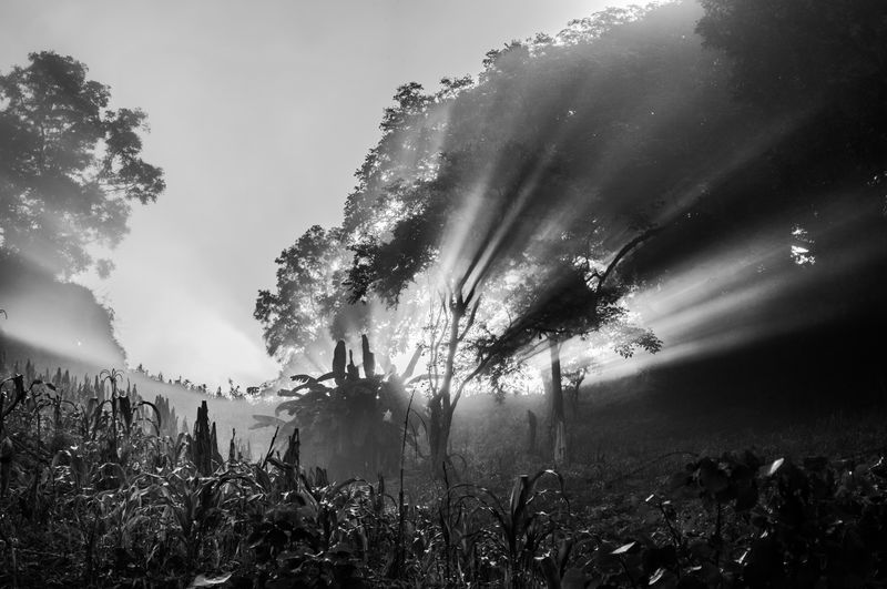 © Arturo Velázquez Hernández - Image from the On the verb "to disappear" photography project