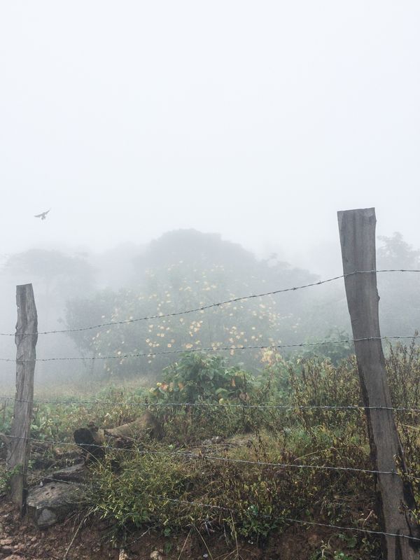 © Arturo Velázquez Hernández - Image from the On the verb "to disappear" photography project