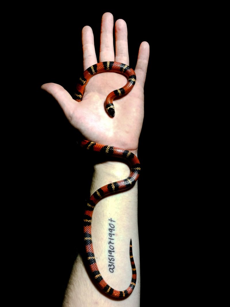 © Arturo Velázquez Hernández - Image from the On the verb "to disappear" photography project