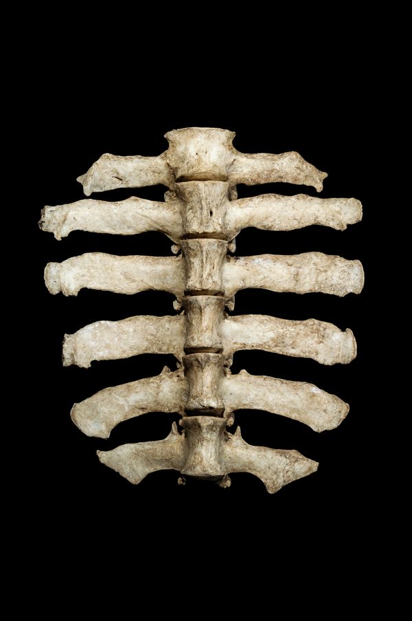 © Arturo Velázquez Hernández - Image from the On the verb "to disappear" photography project