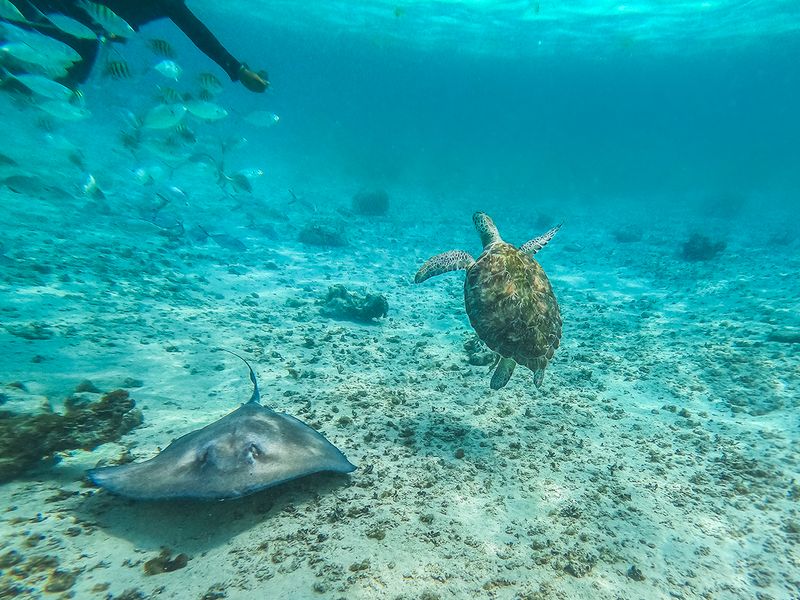 © Arturo Velázquez Hernández - Image from the Turquoise memoir photography project