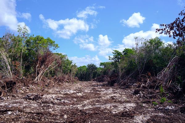 © Arturo Velázquez Hernández - Image from the Turquoise memoir photography project