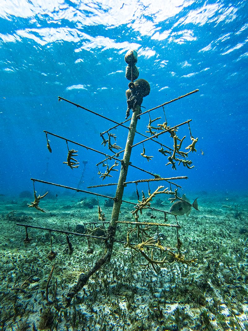 © Arturo Velázquez Hernández - Image from the Turquoise memoir photography project