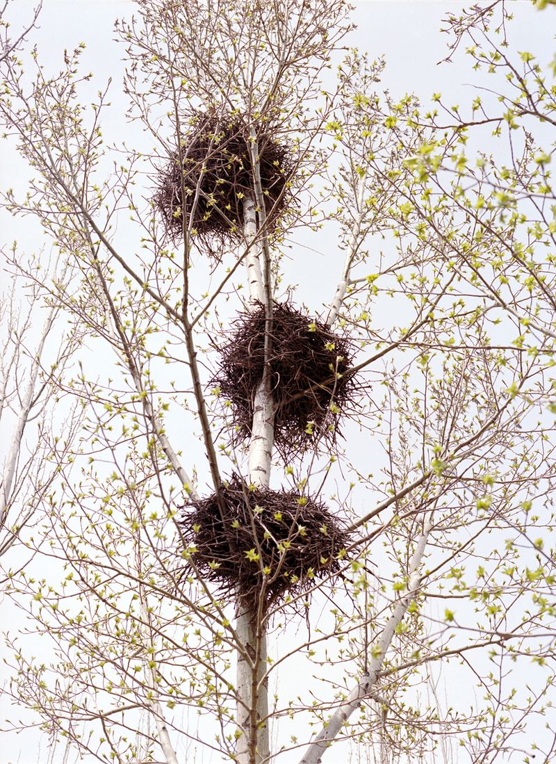 © Xiaoxiao Xu - Image from the Nine Frontier Towns photography project