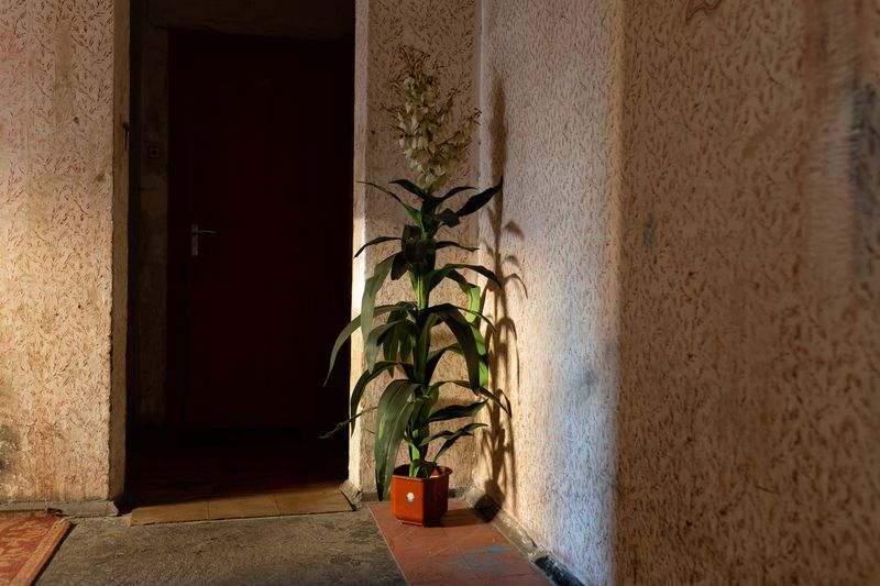 © Nikos Pilos - Image from the Kiev- Life Under Siege photography project