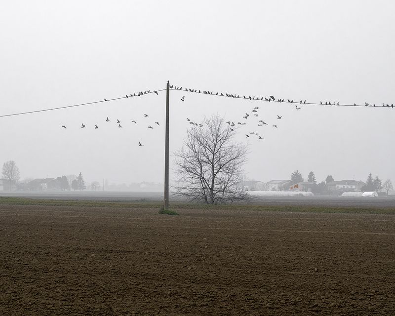 © Paolo Patrizi - Image from the The Po Valley photography project