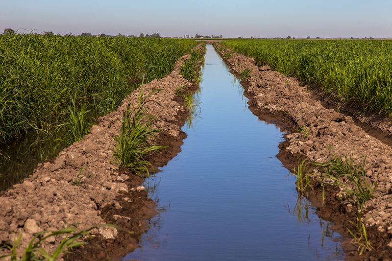 © Francisco Mata - Image from the La línea. photography project