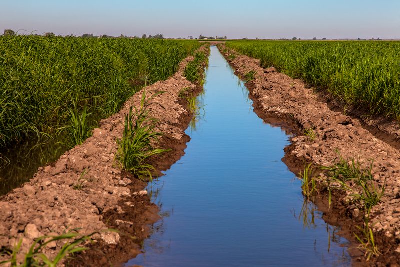 © Francisco Mata - Image from the La línea. photography project