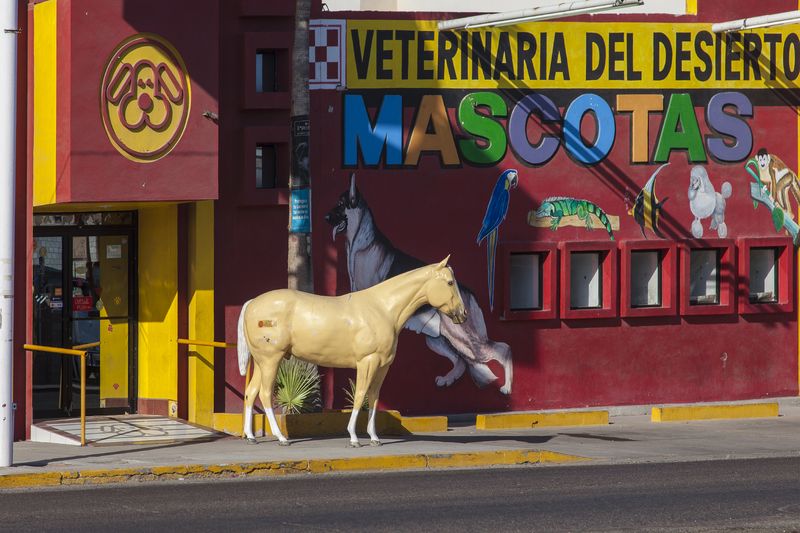 © Francisco Mata - Image from the La línea. photography project