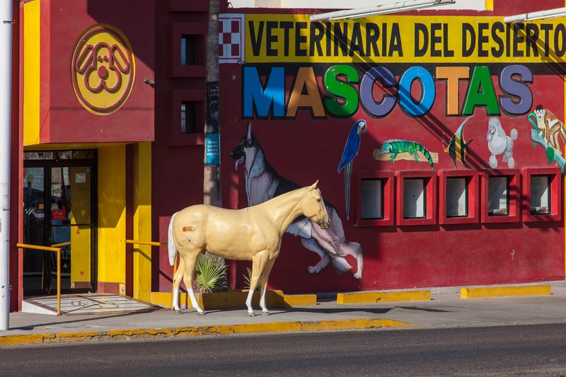 © Francisco Mata - Image from the La línea. photography project