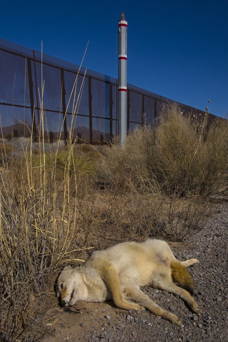 © Francisco Mata - Image from the La línea "B" photography project