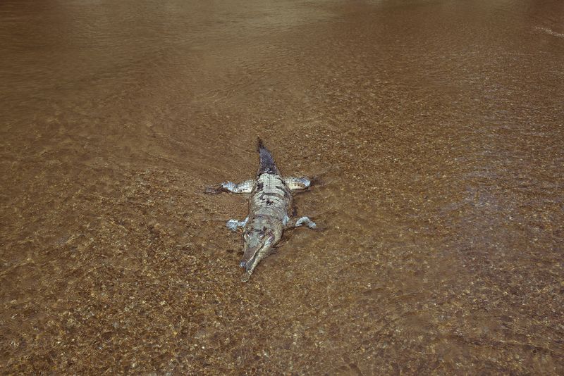 © Isabella Melody Moore - Image from the If the River dies photography project
