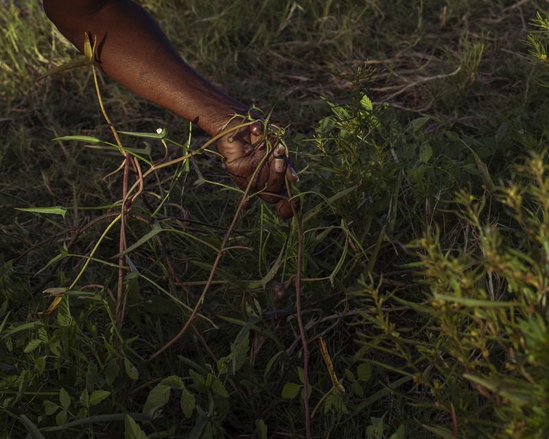 © Isabella Melody Moore - Image from the If the River dies photography project