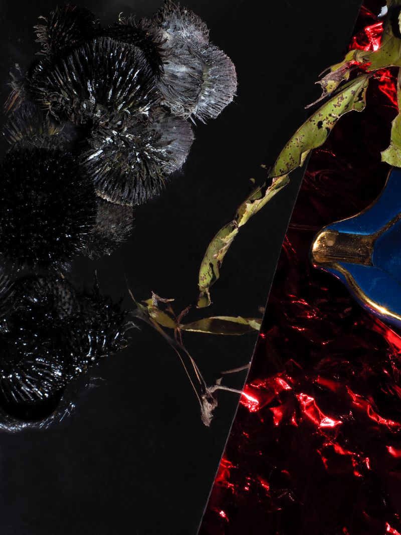 © MEI CHI WU - XYX#4