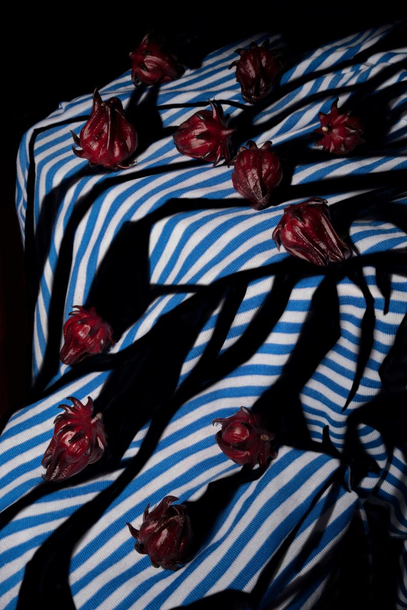 © MEI CHI WU - 吳美琪 Wu MeiChi, 洛神花與影子 Roselle and shadow, 2022, 數位輸出 Digital print, 120 x 80 cm