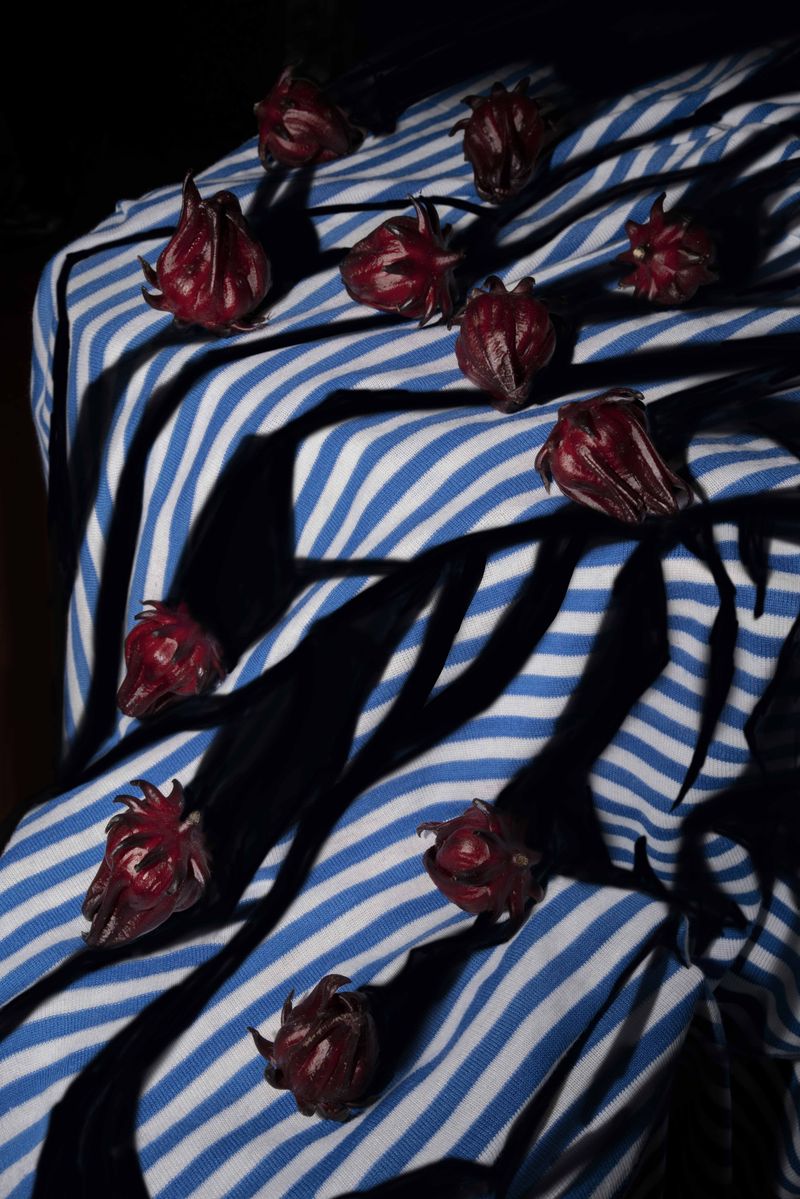 © MEI CHI WU - 吳美琪 Wu MeiChi, 洛神花與影子 Roselle and shadow, 2022, 數位輸出 Digital print, 120 x 80 cm