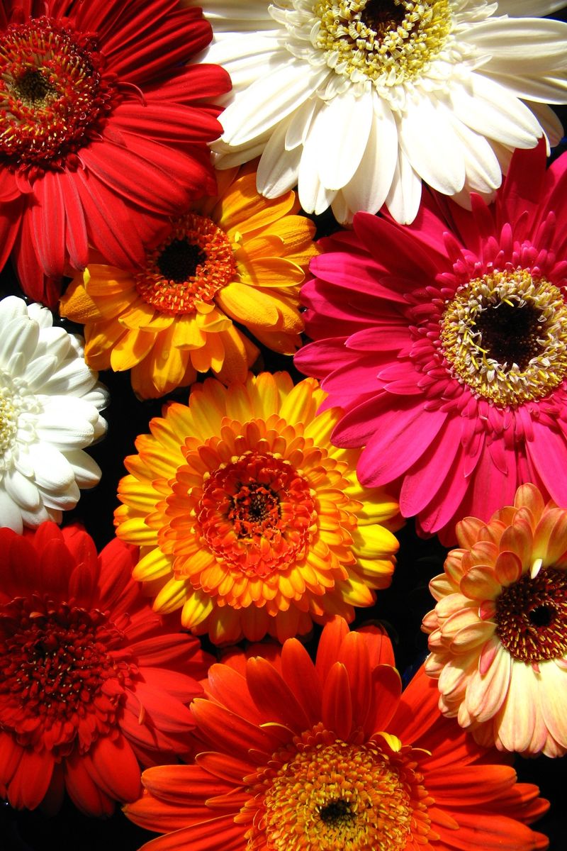 © Andreas Ender - the winner _ 02