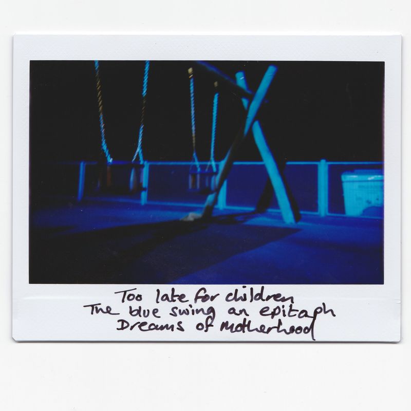 © Joanne  Howell - Image from the Instant film haiku from the coast photography project