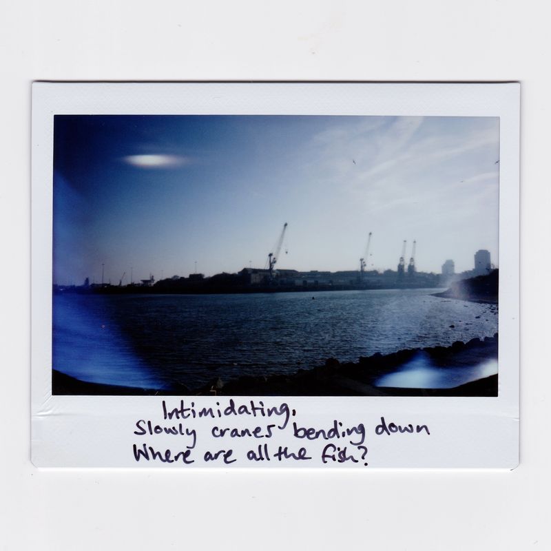 © Joanne  Howell - Image from the Instant film haiku from the coast photography project