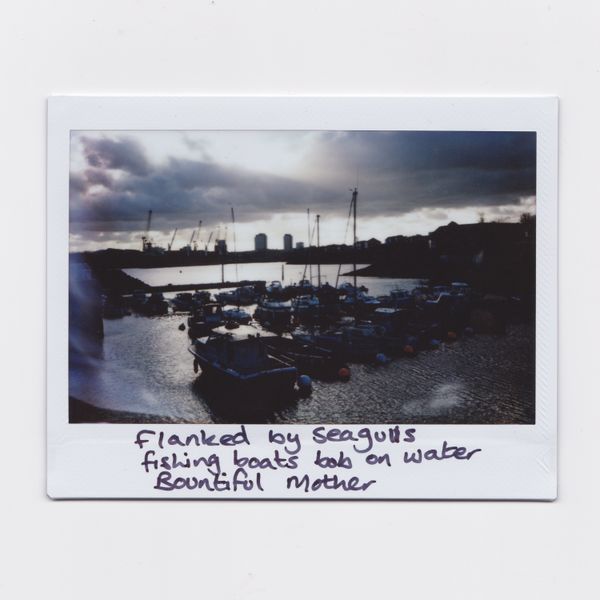 © Joanne  Howell - Image from the Instant film haiku from the coast photography project