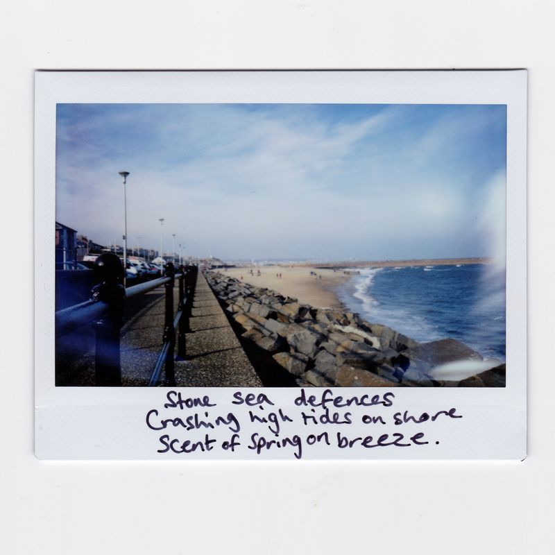 © Joanne  Howell - Image from the Instant film haiku from the coast photography project