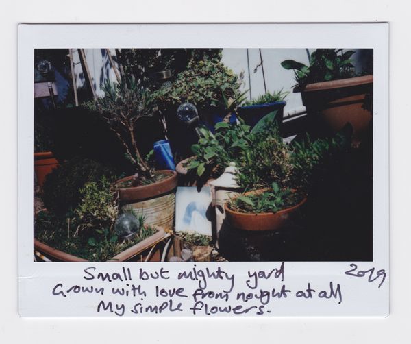 © Joanne  Howell - Image from the Instant film haiku from the coast photography project