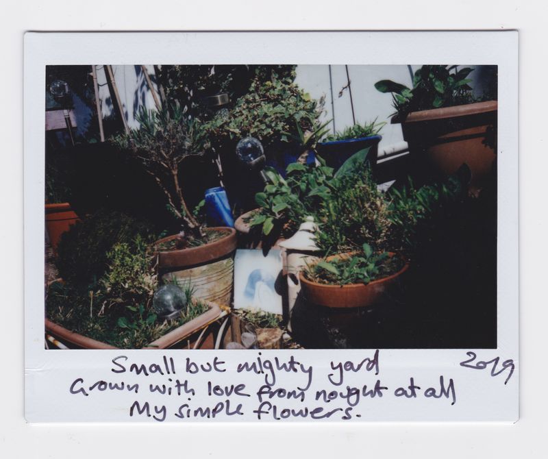 © Joanne  Howell - Image from the Instant film haiku from the coast photography project