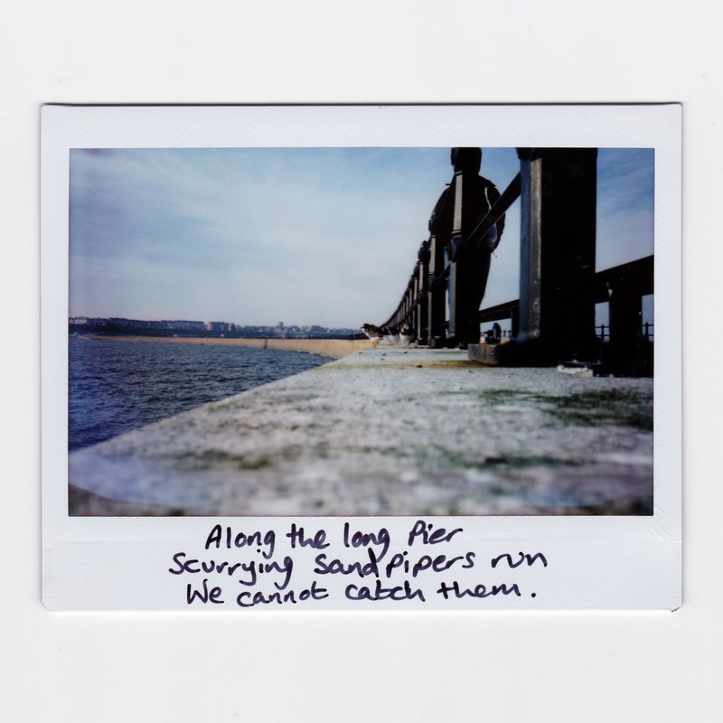 © Joanne  Howell - Image from the Instant film haiku from the coast photography project